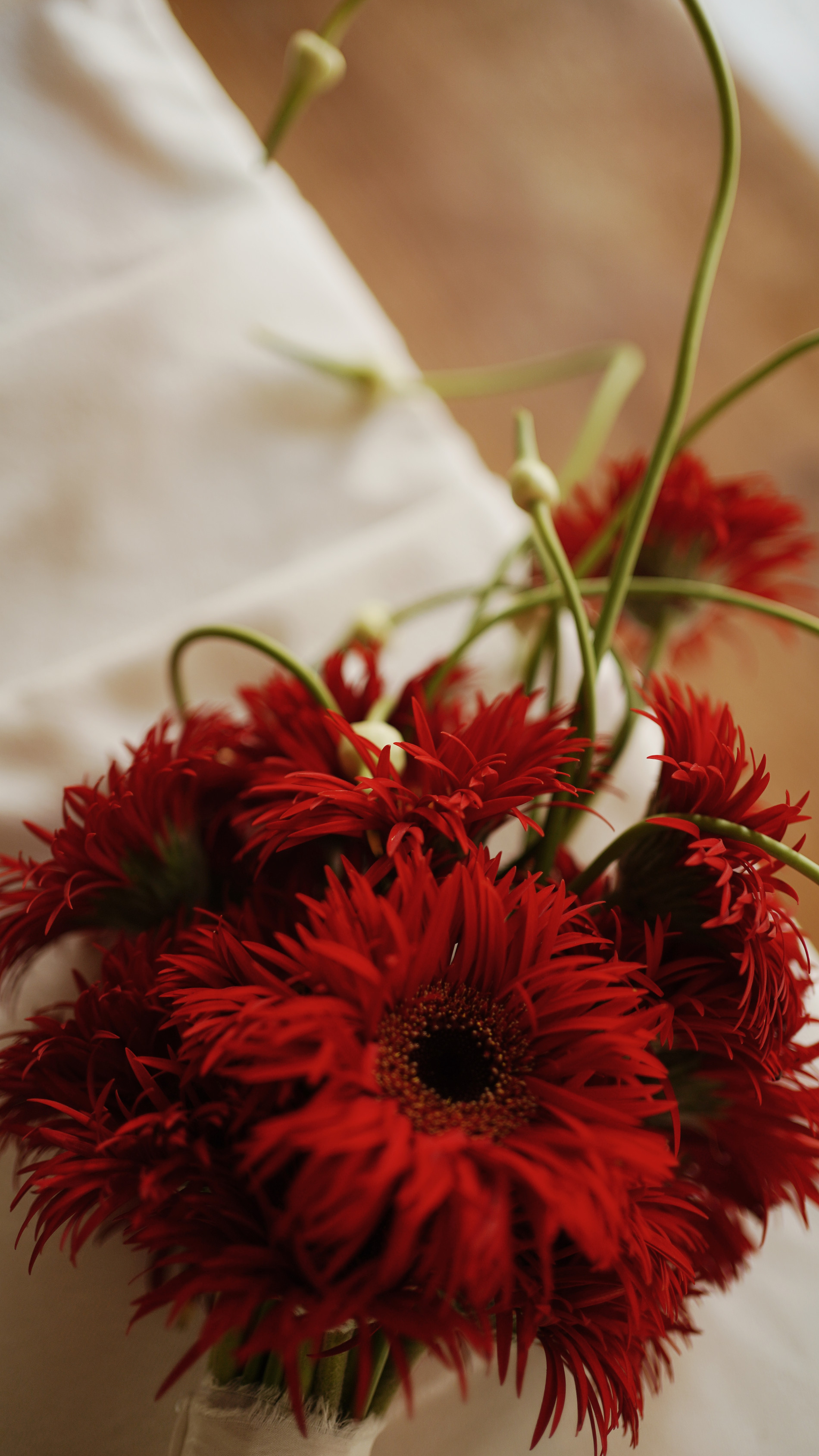 Весілля Артем та Вікторія