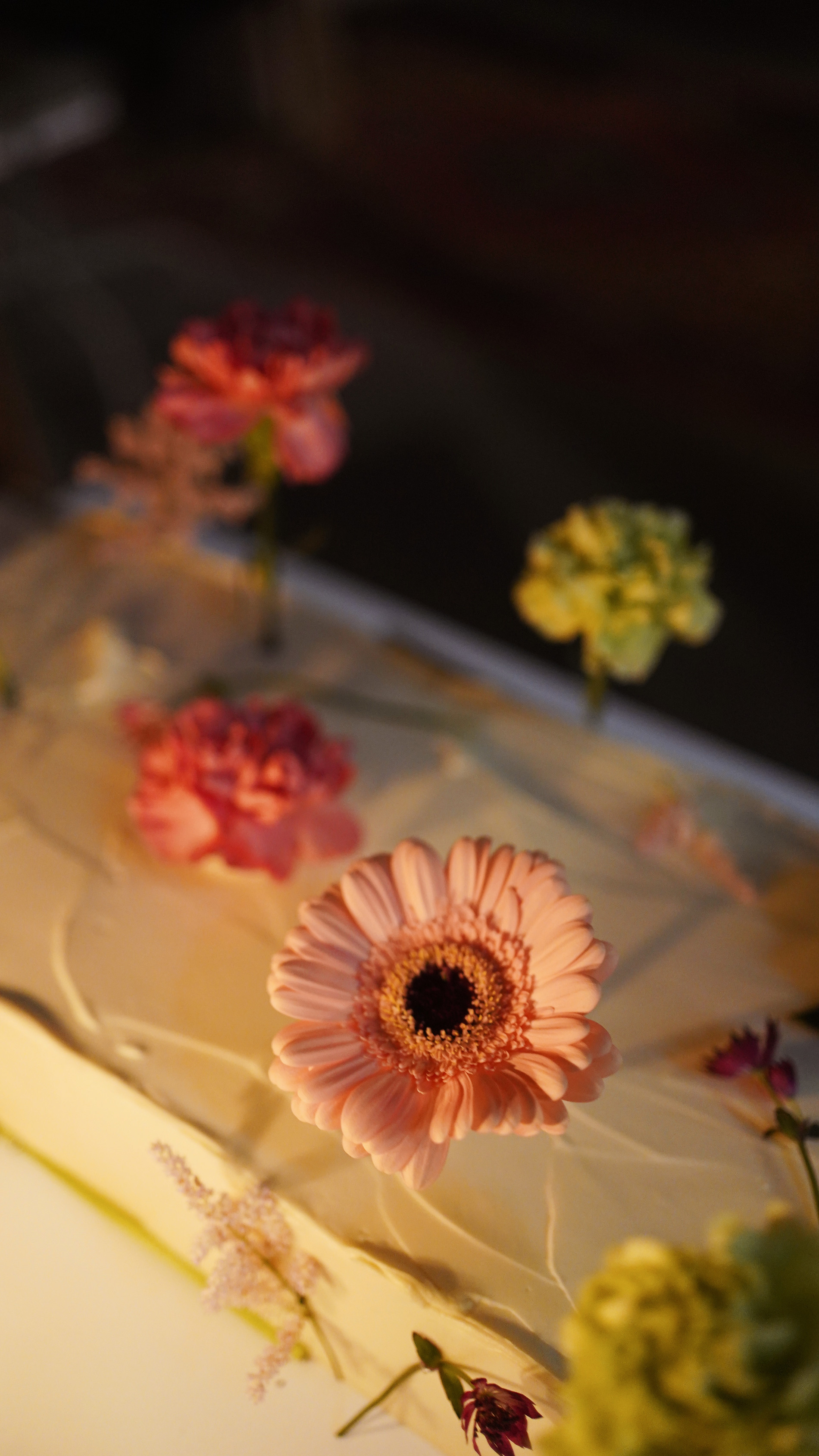 Весілля Аня та Ігор