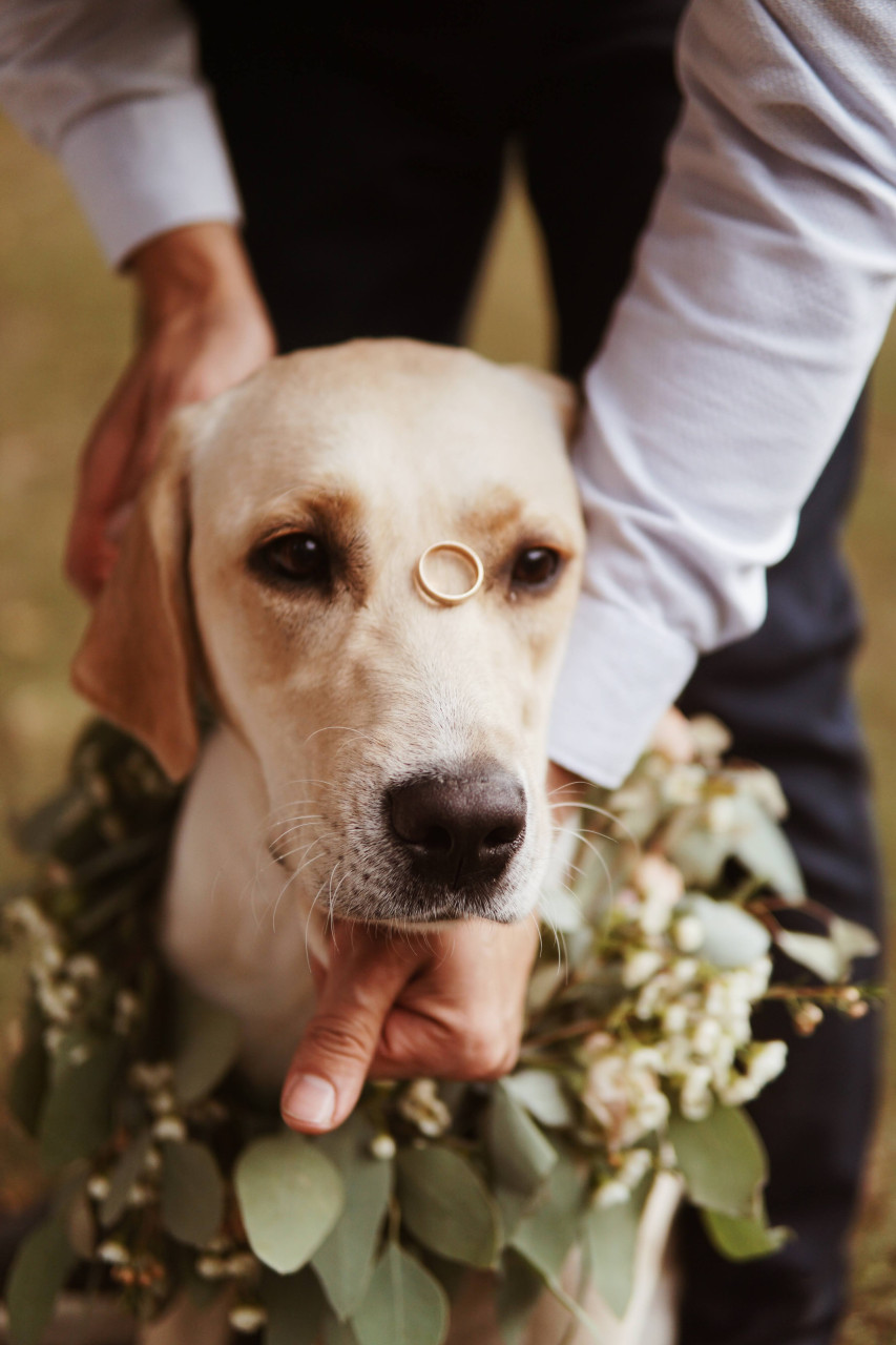 Весілля Альона та Олег